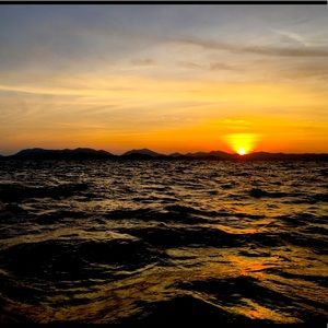 Meet your Posher, Alana